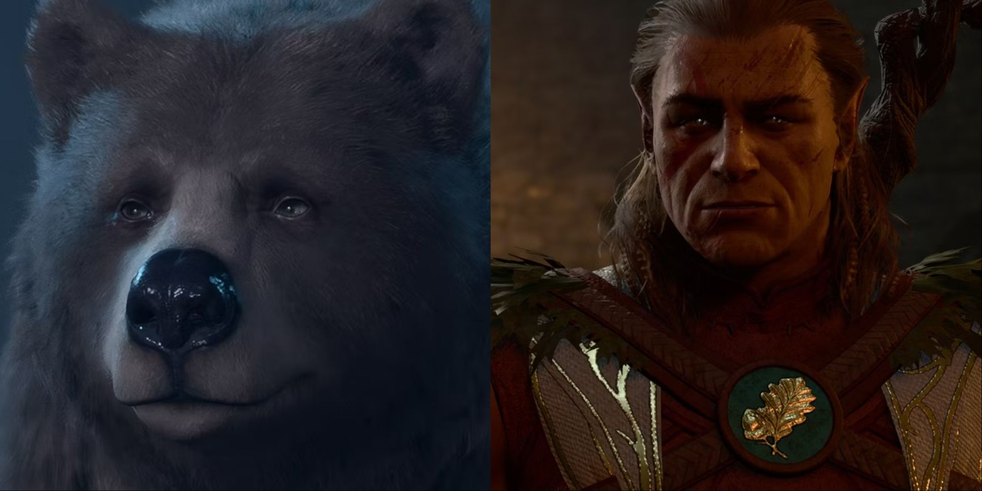 A collage showing Halsin in his bear and human form.