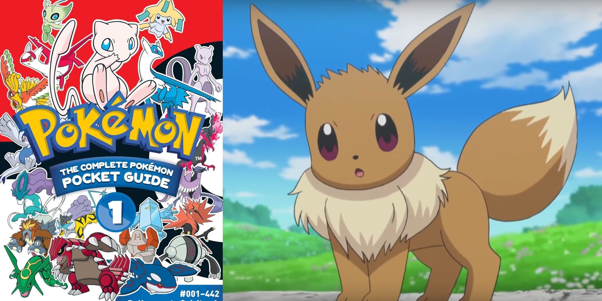 pokemon: the complete pokemon pocket guide cover, and eevee looking surprised