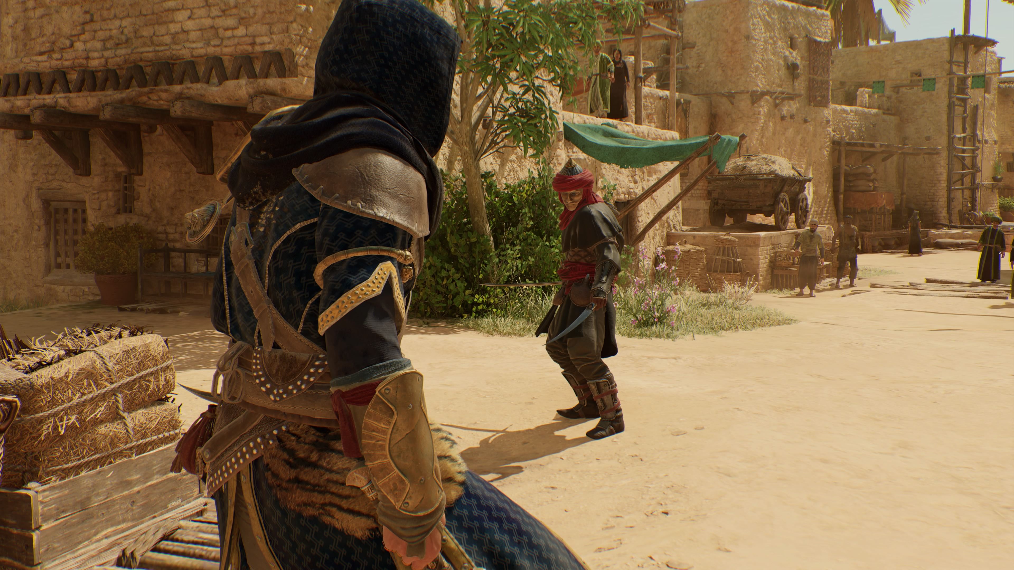 Basim is preparing to fight Shakiriyya elite guard