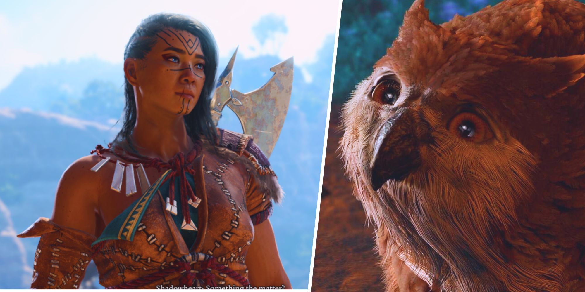 Baldur's Gate 3 - Split Image: A barbarian outlanderwoman standing in front of mountains / Baby owlbear looking up at the player