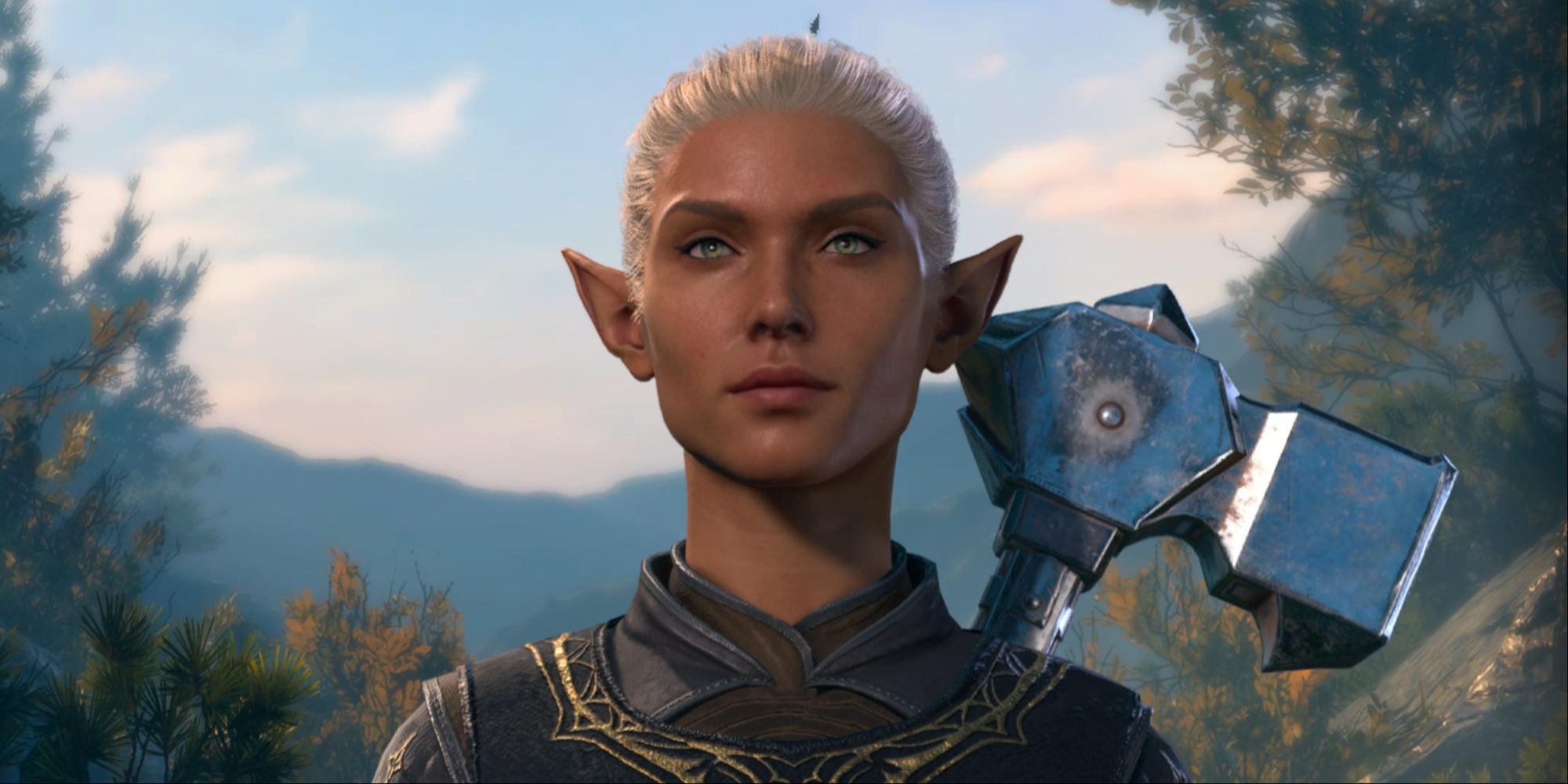 a custom High Elf Paladin from Baldur's Gate 3