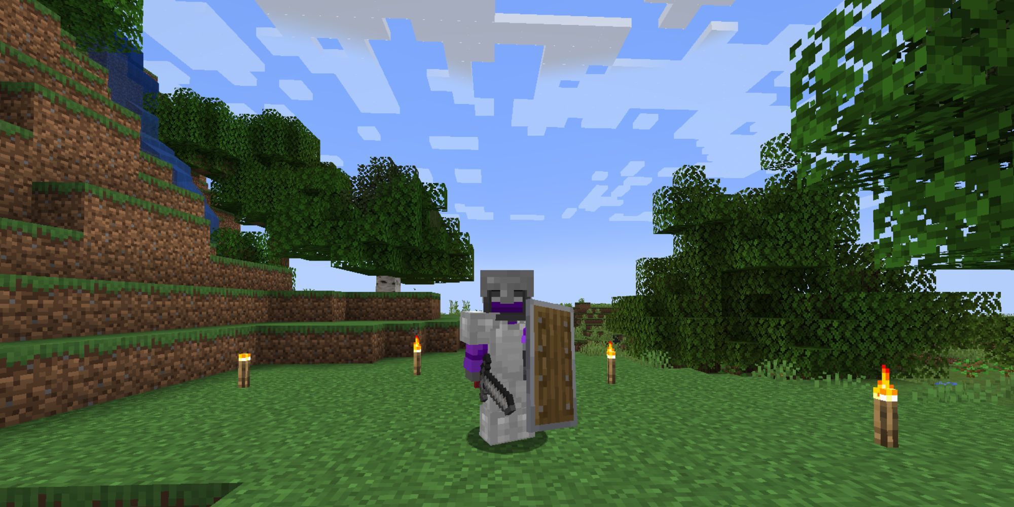A player in full iron armor wielding a sword and a mostly brown shield with metal reinforcements.