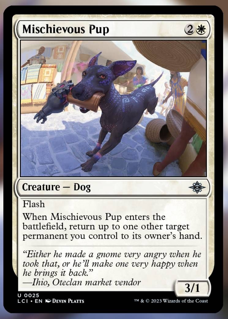 Mischievous Pup