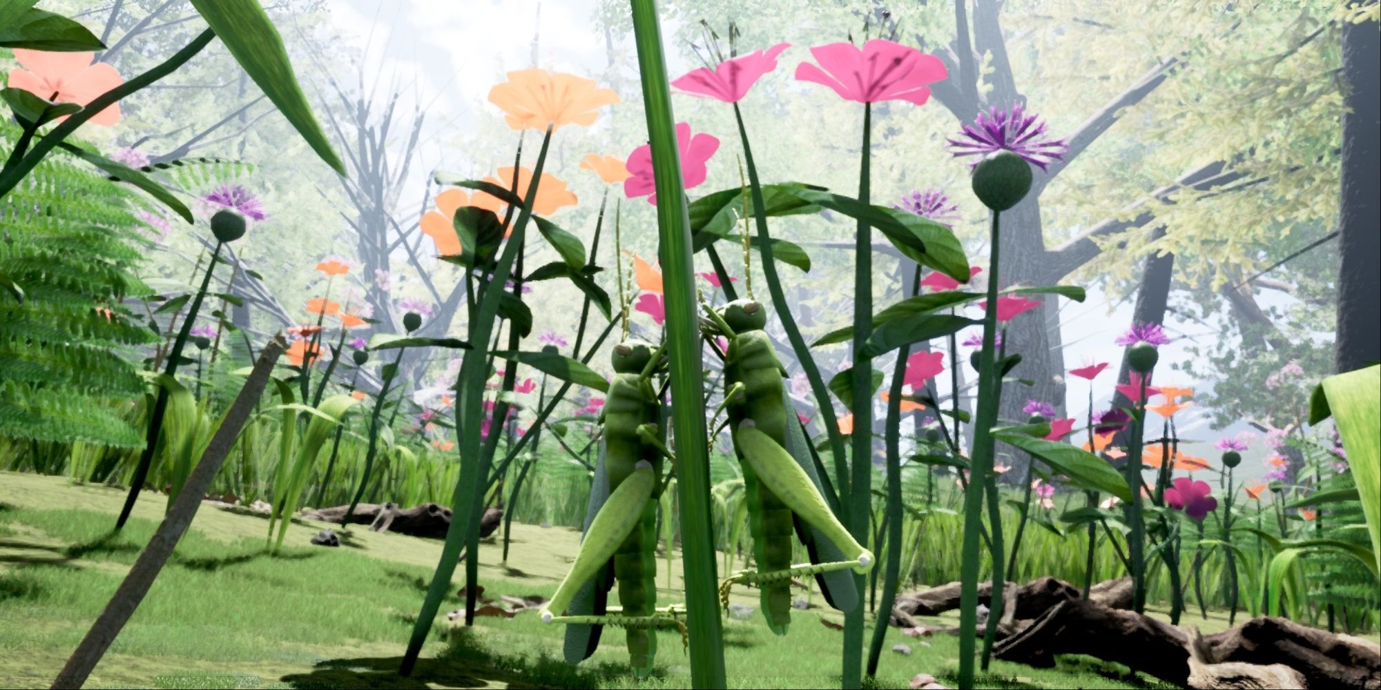 Garden filled with flowers and grasshoppers. 