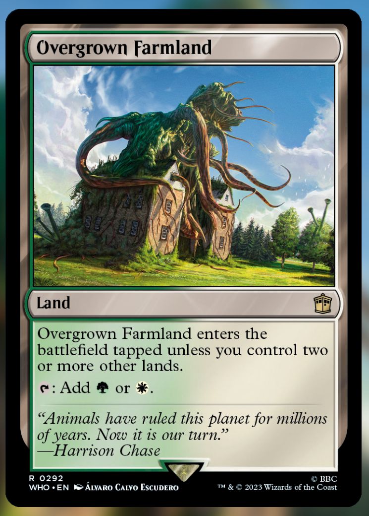 Overgrown Farmland