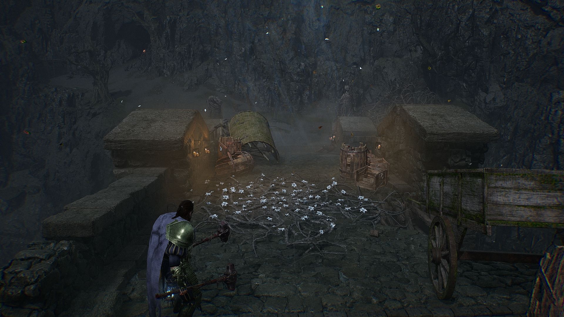 Player standing near an Umbral Flowerbed Lords of the fallen
