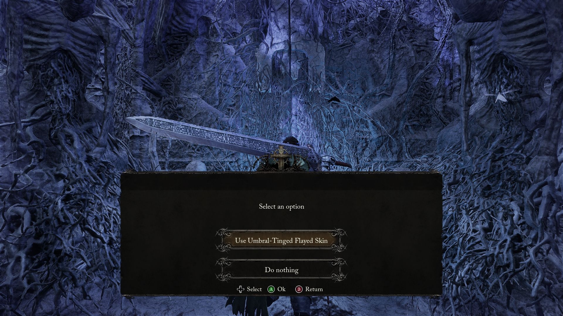 Player with the option to use Umbral-Tinged Flayed Skin to unlock the gate Lords of the Fallen