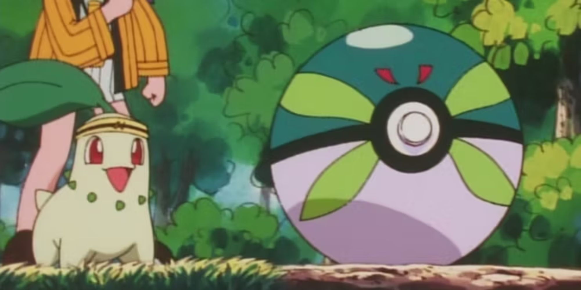 Chikorita staring at Sport Ball