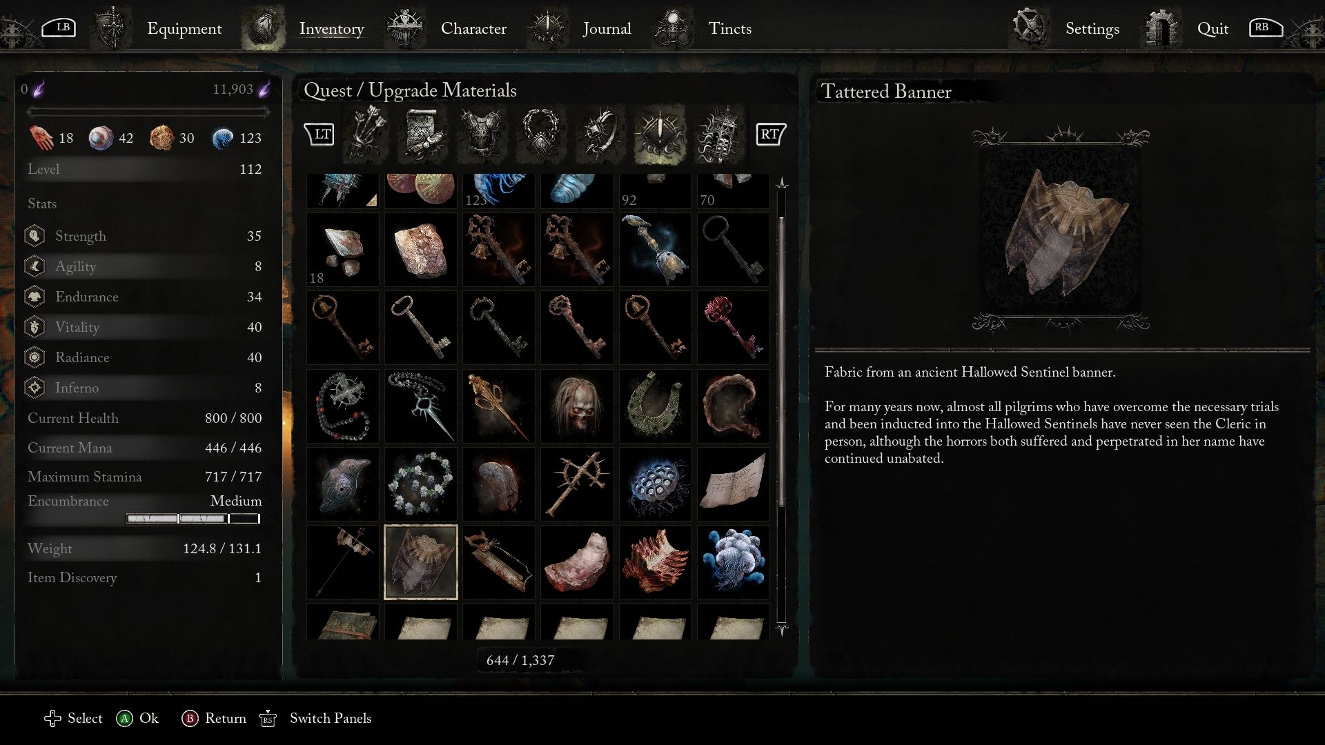 Tattered Banner item description Lords of the Fallen