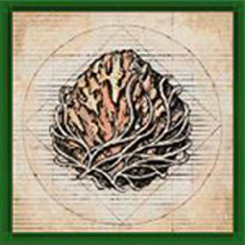 the breath of earth raging fists icon