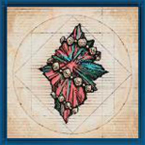 the favor of fire scarlet cyclone icon