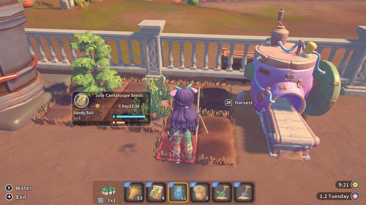 Player character standing in front of a small garden in their yard that contains a Jute Cantaloupe plant that's growing in My Time At Sandrock.