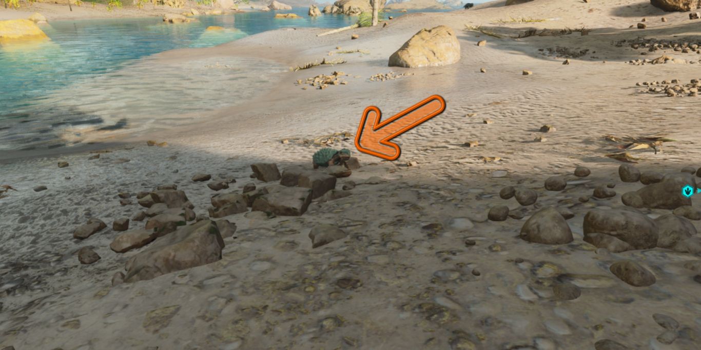 Ark Survival Ascended Baby Carbonemys In Sand