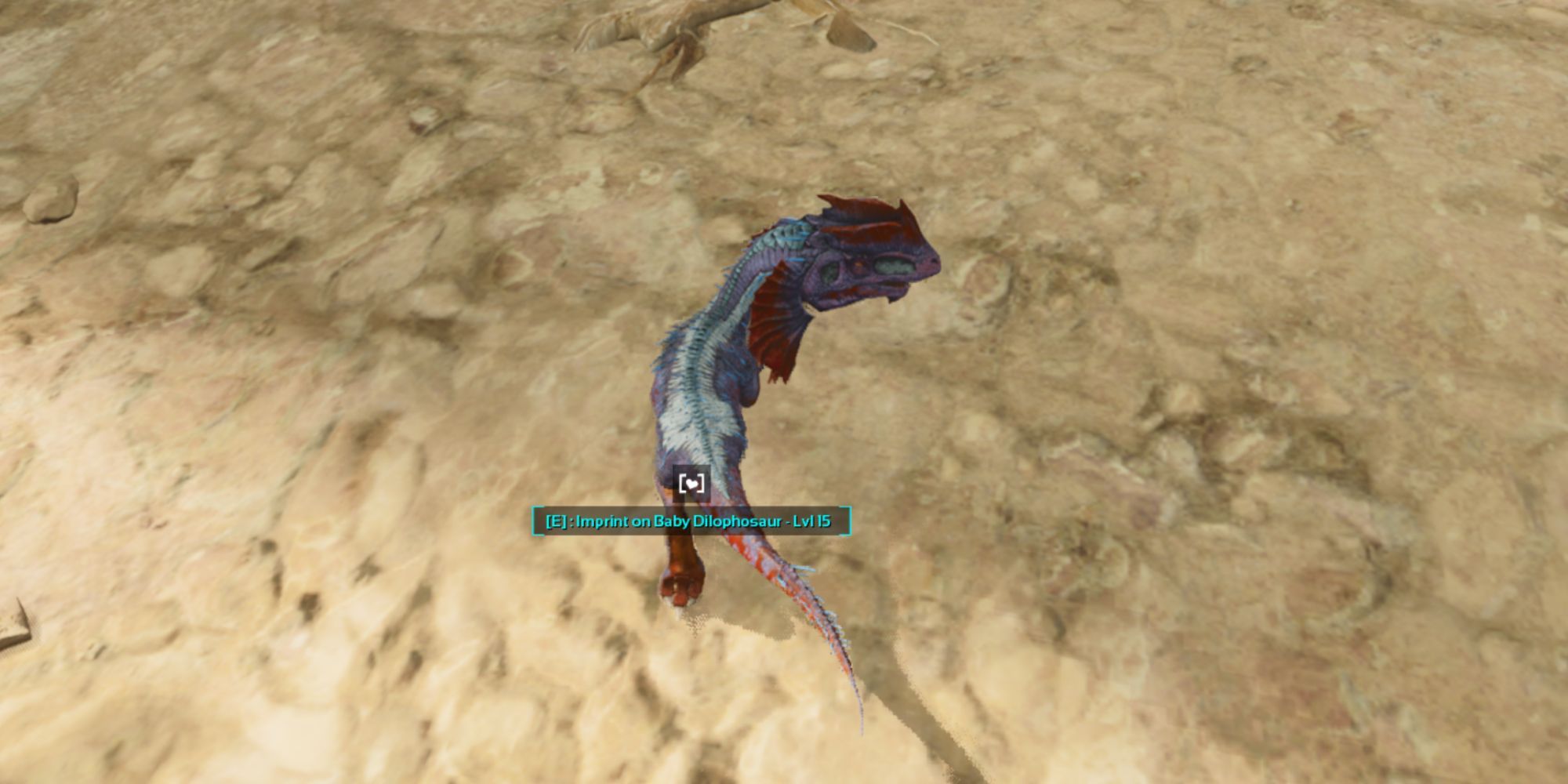 Ark Survival Ascended Imprint On Baby Dilophosaur