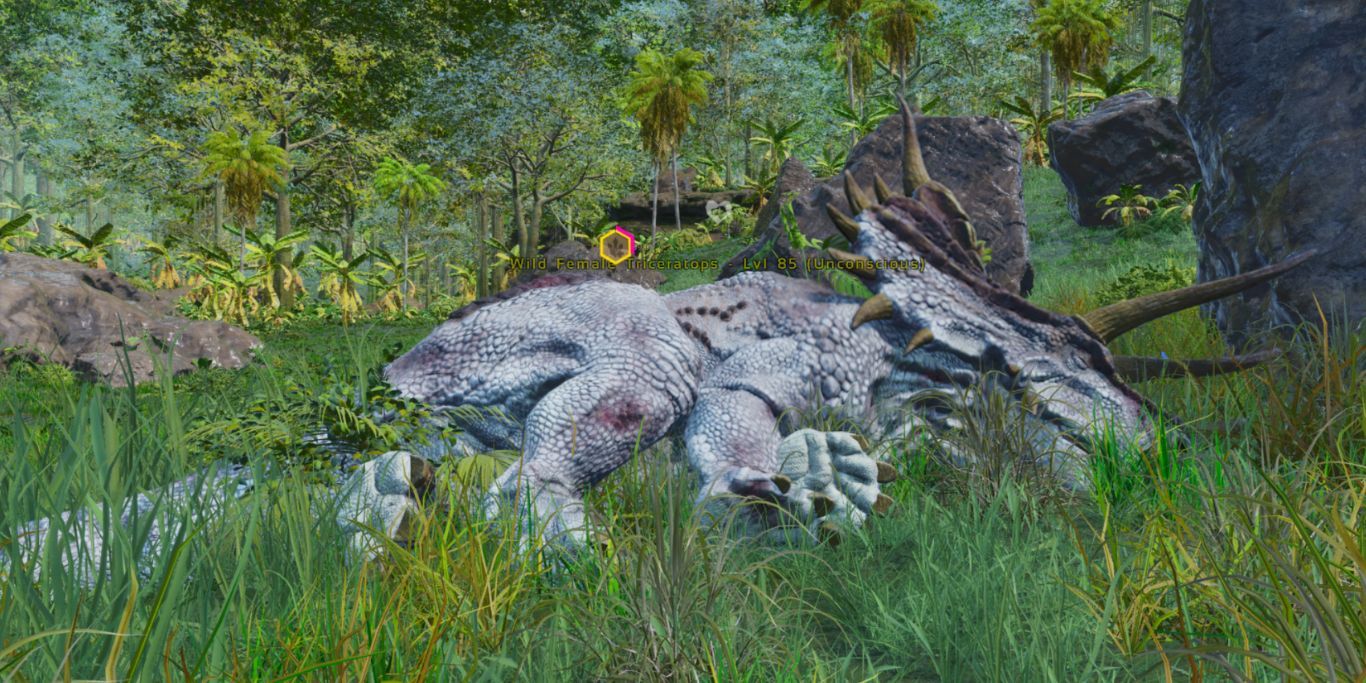 Ark Survival Ascended Unconscious Triceratop Being Tamed
