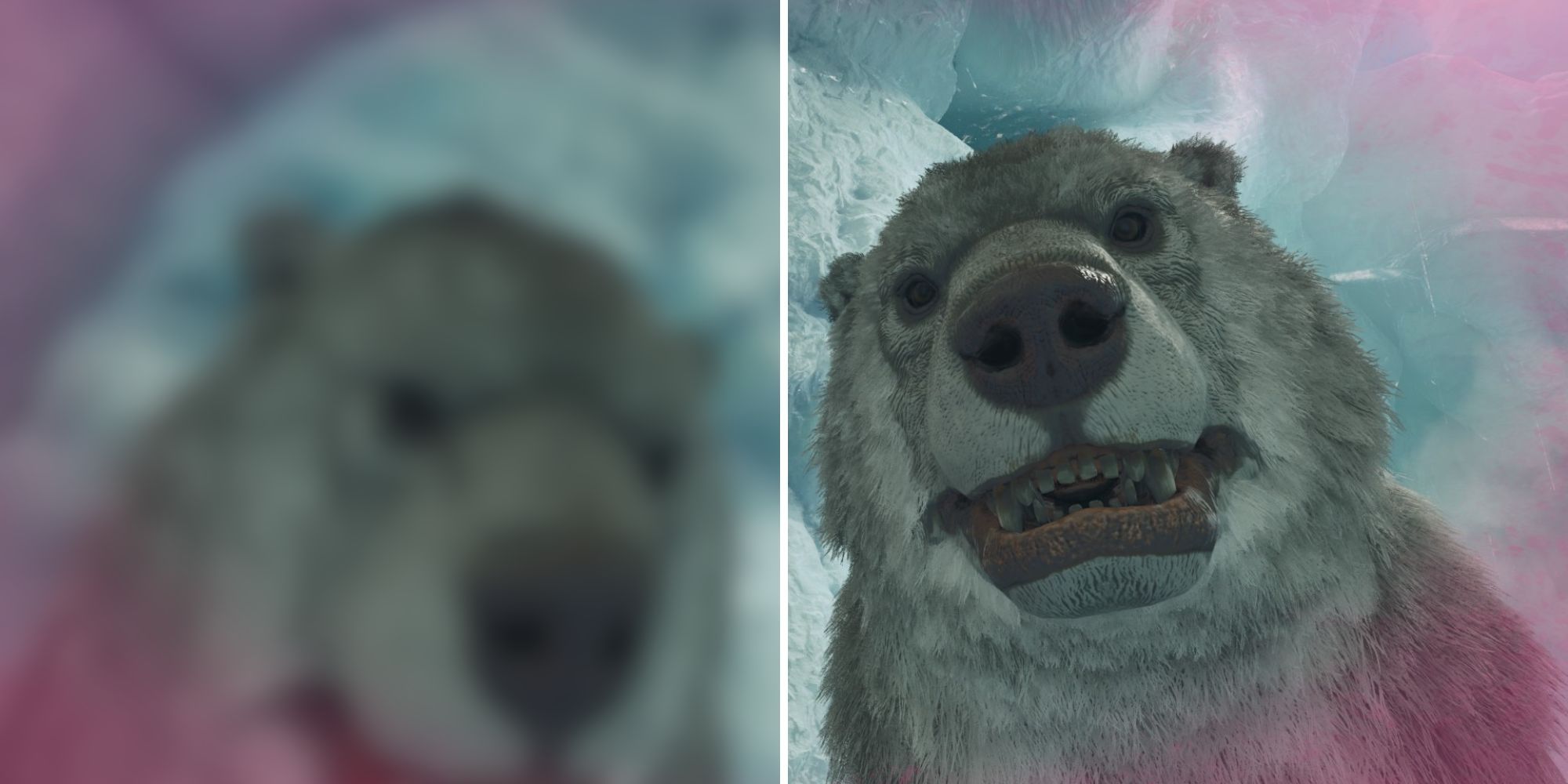 A split image of two white and grey-furred bears, with one appearing blurry, while the other is seen more clearly.