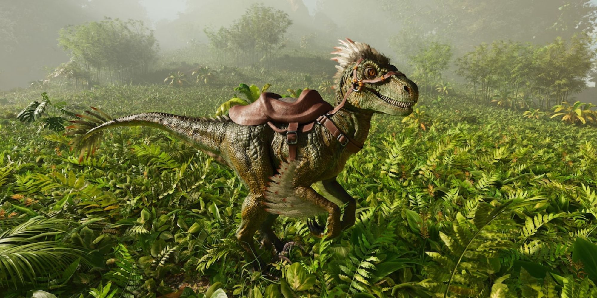 A medium-sized dinosaur with a saddle on it standing in a dense, green, grassy area.