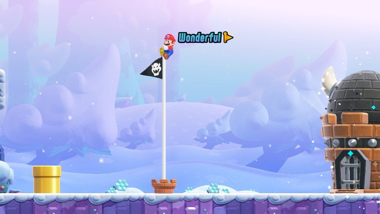 Mario at the top of the final goal post in the level. "Wonderful" text is to his right.