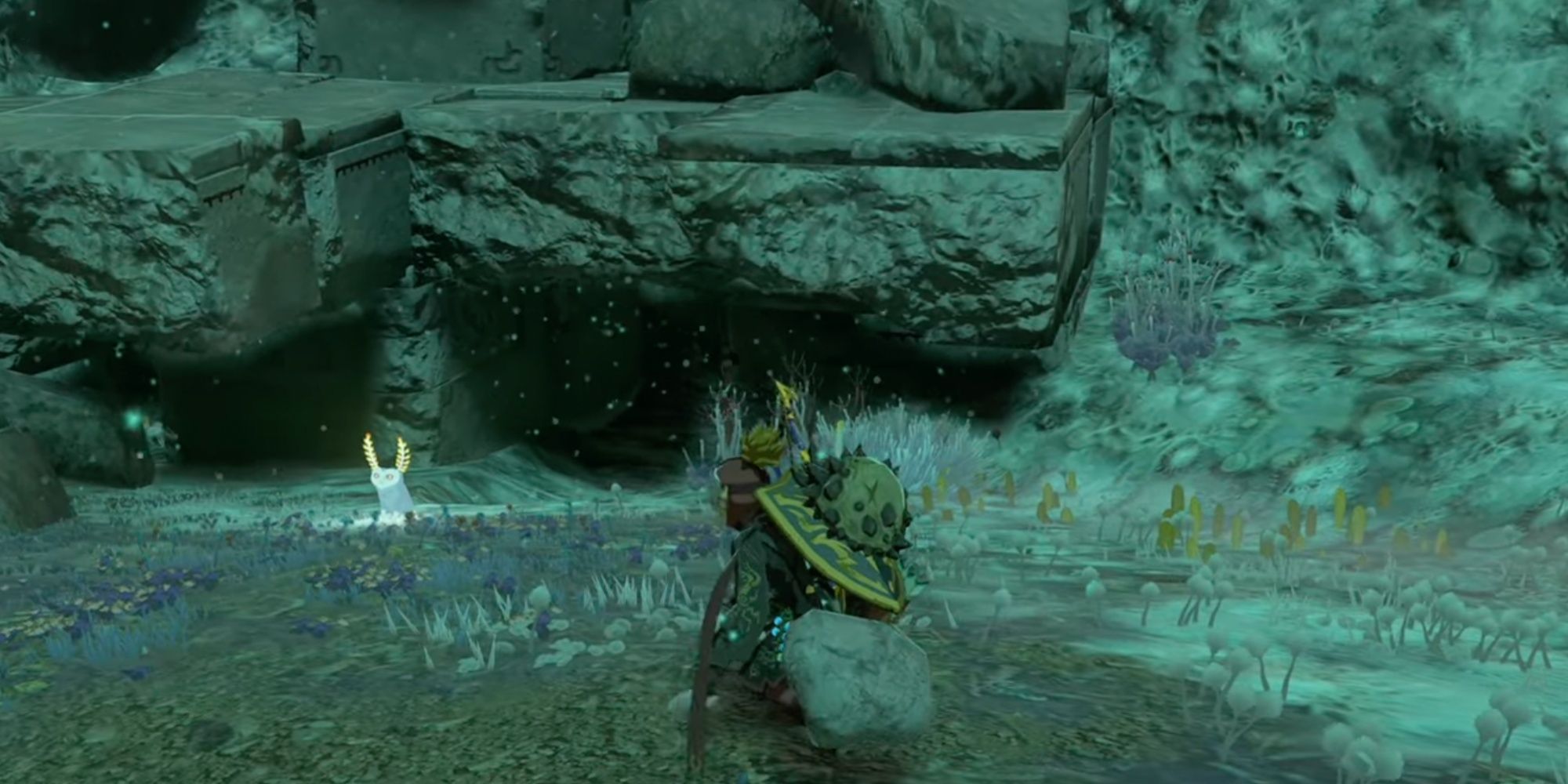 loz totk Link watches a blupee in the blupee burrow