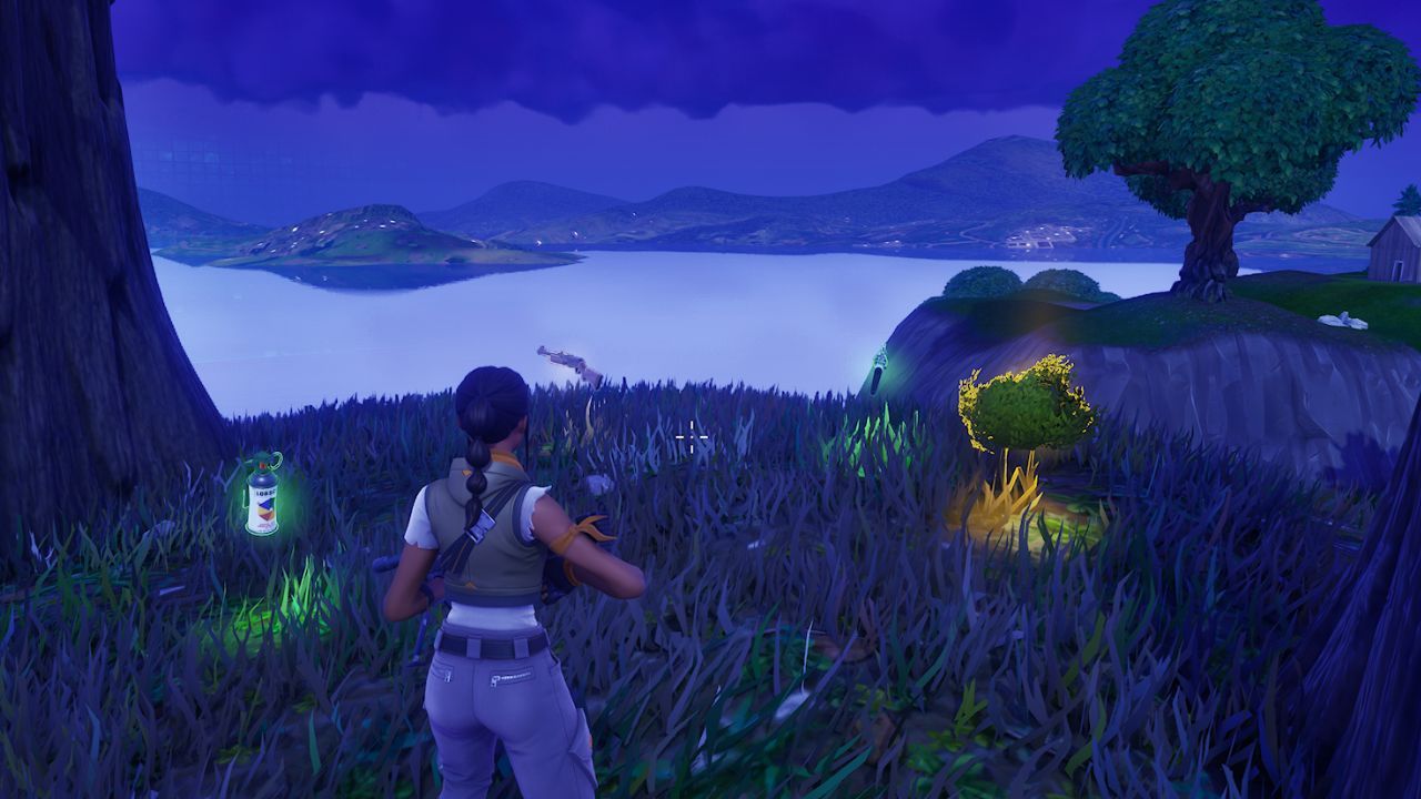 The smoke bomb, pump shotgun, assault rifle, and bush item from left to right.