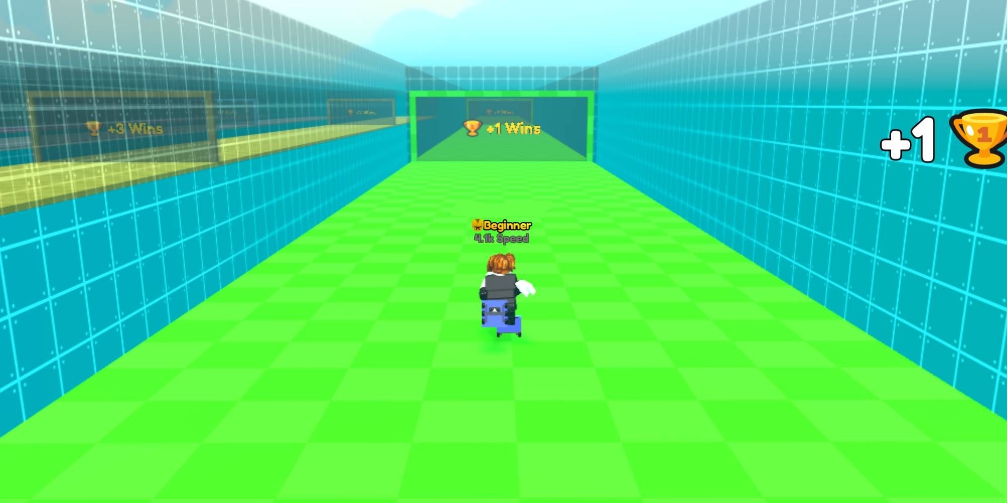 Roller Race Simulator On The Track