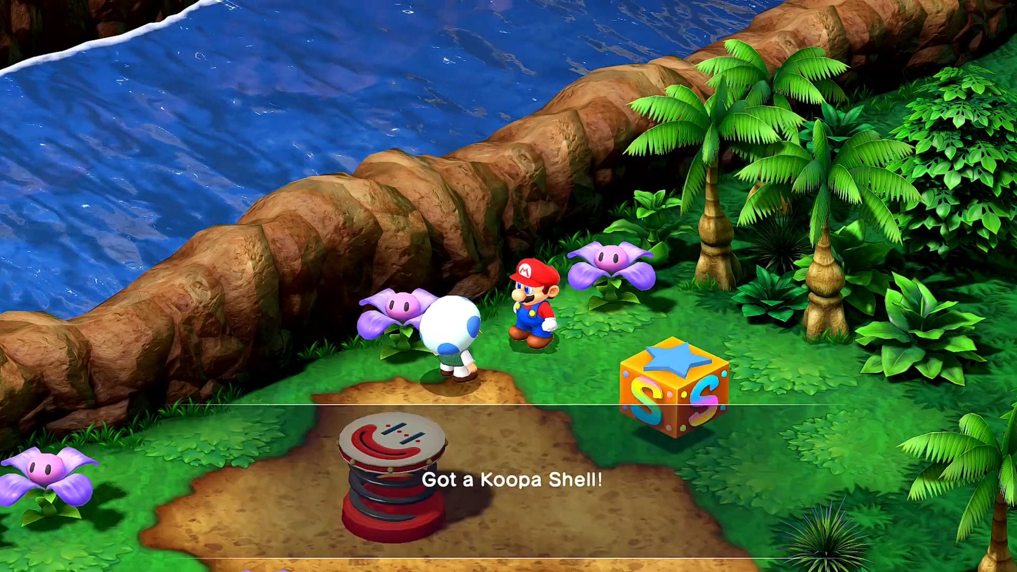 Super Mario RPG A Toad Giving Mario A Koopa Shell
