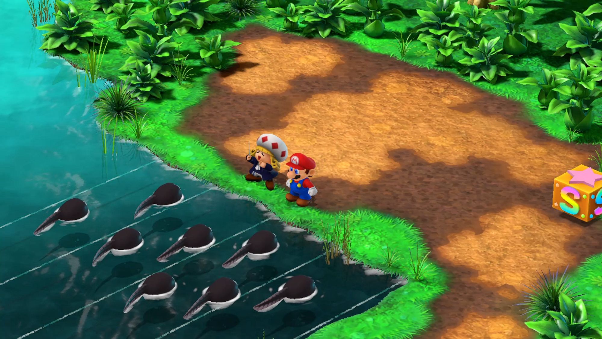 Super Mario RPG Mario & Toadofsky Getting Praised By Tadpoles