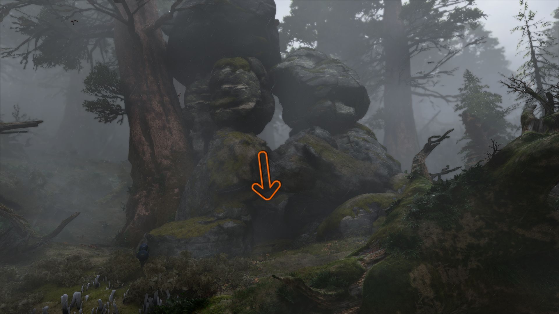 An arrow showing the location of the Windswept Doll 4 The Sitting Elder Avatar Frontiers of Pandora
