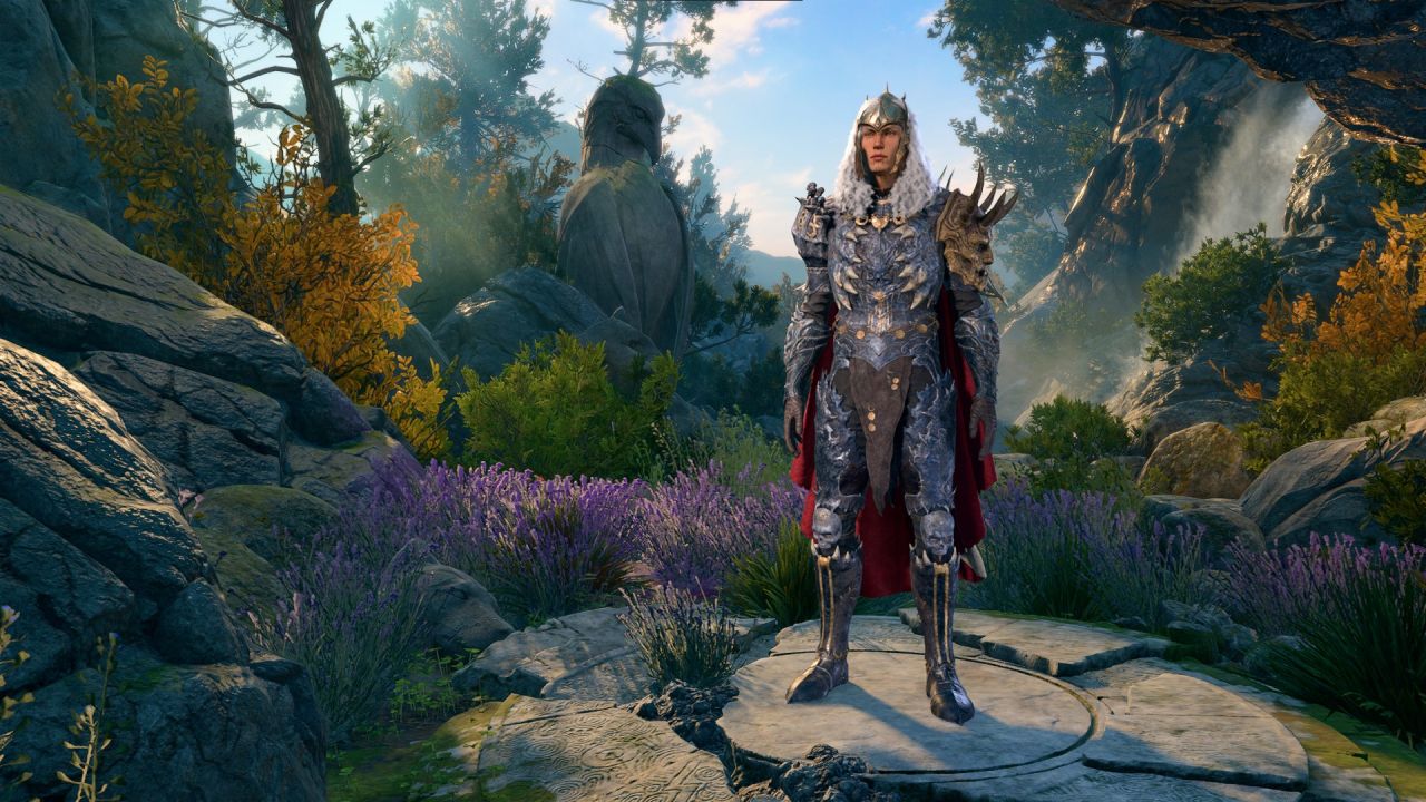 Baldur's Gate 3 paladin in armour