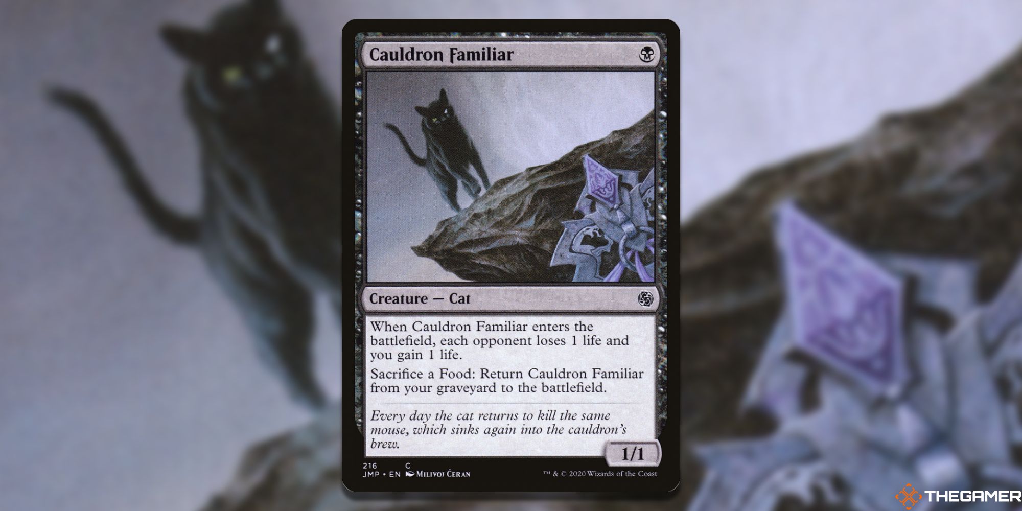 MTG: Cauldron Familiar card