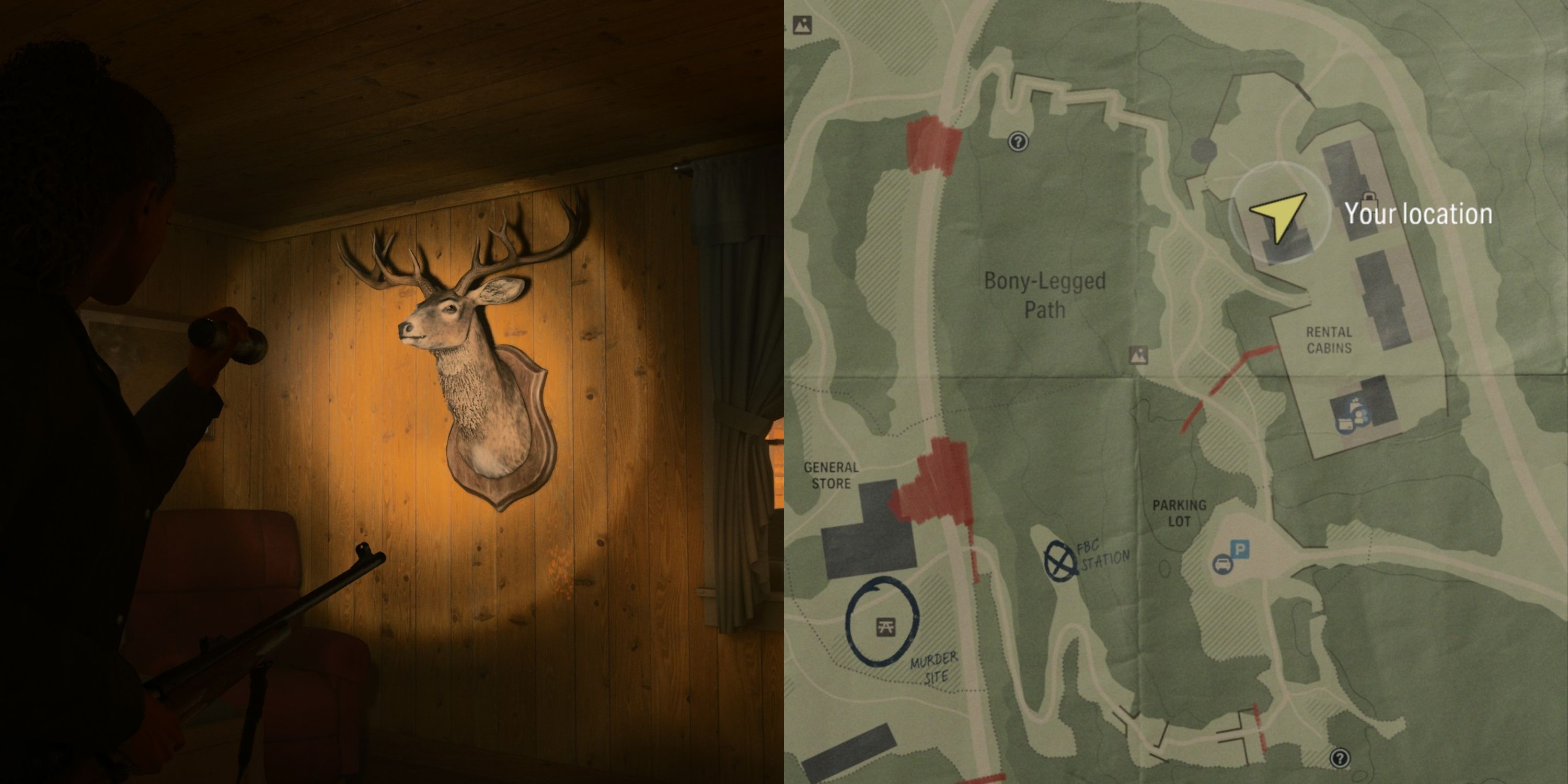 Deer Head At The Rental Cabins / Its location on the Cauldron Lake Map