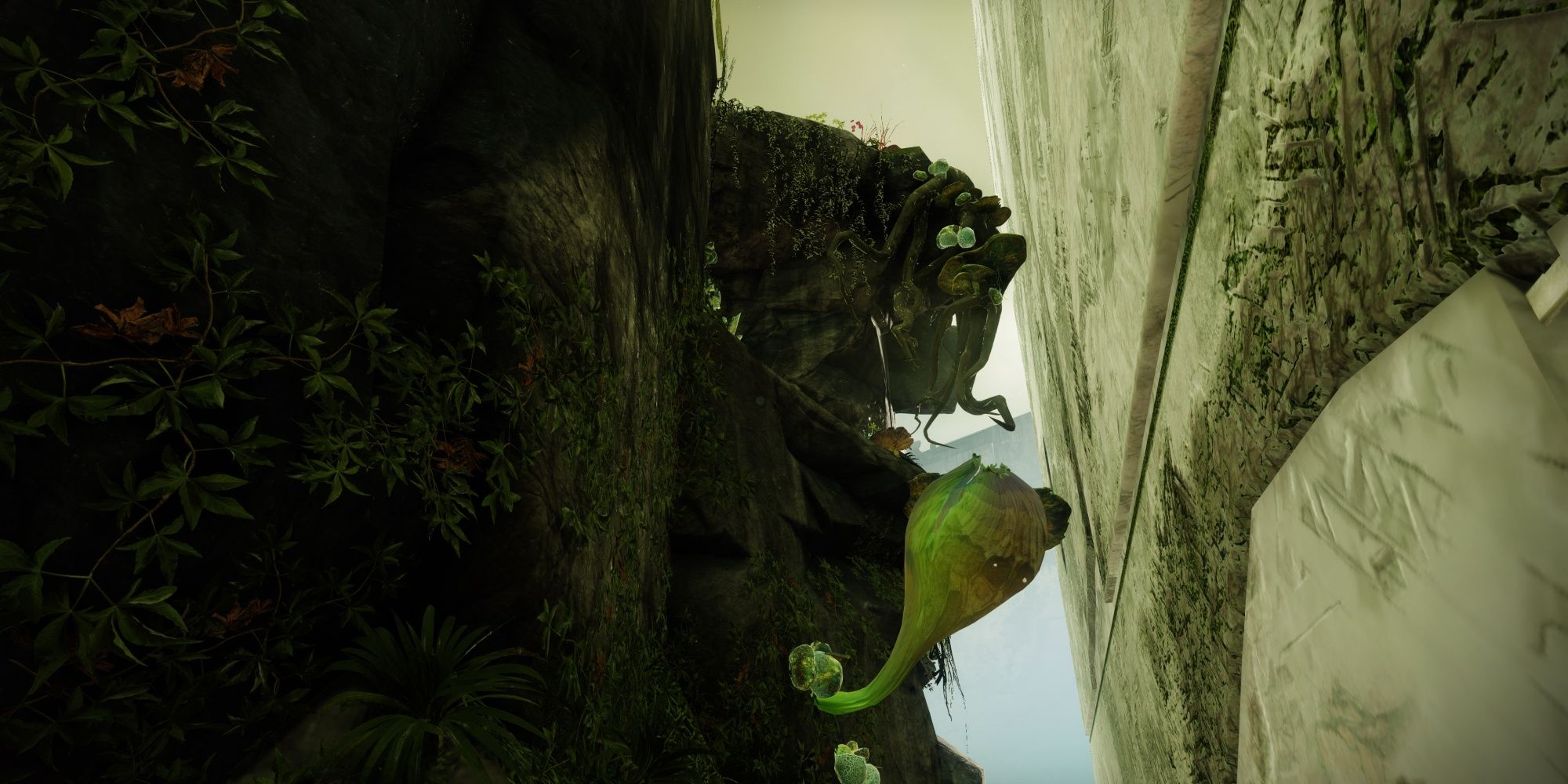 Destiny 2 Starcrossed Constellation Tower Location 4