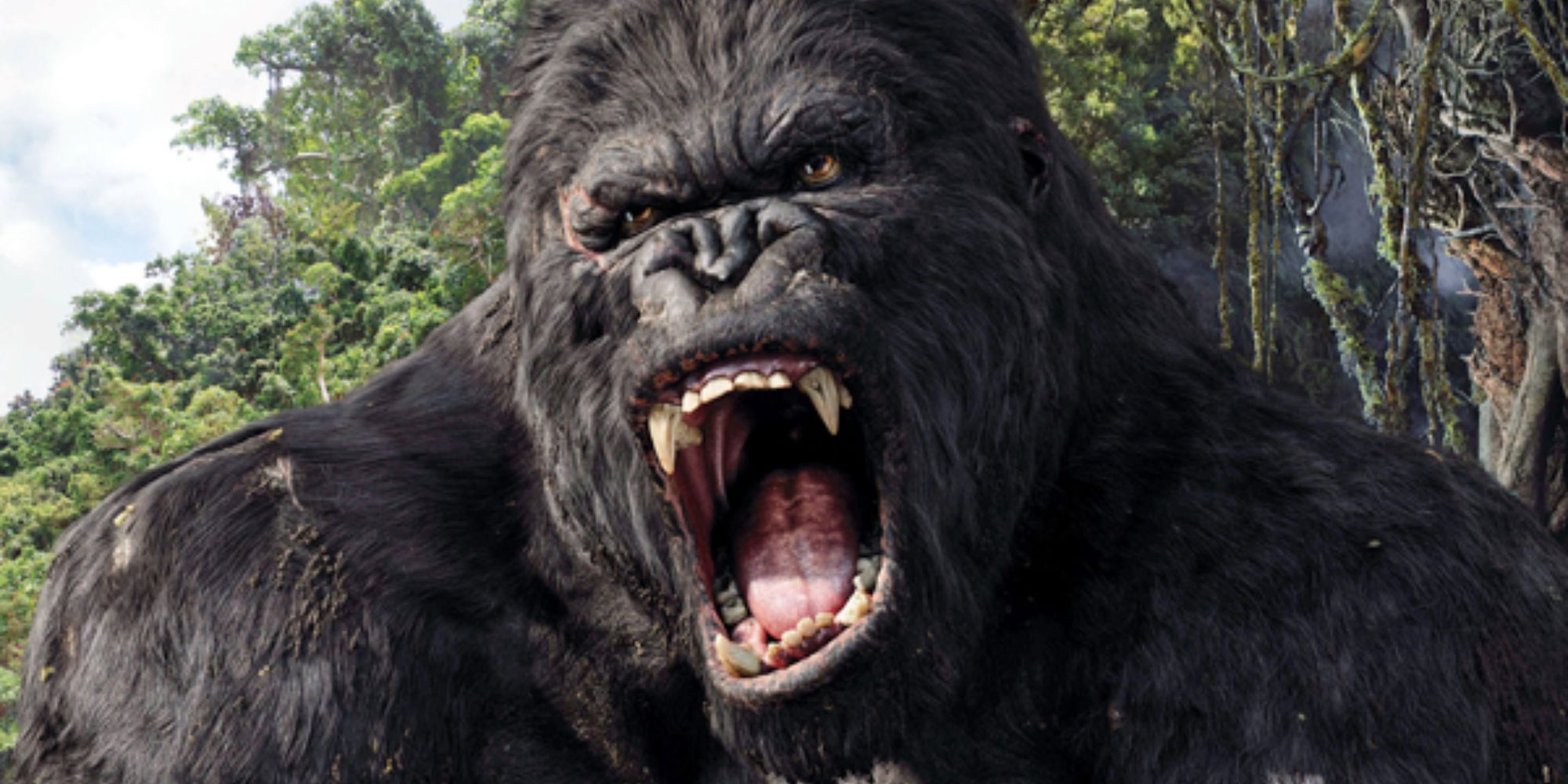 king kong snarling up close
