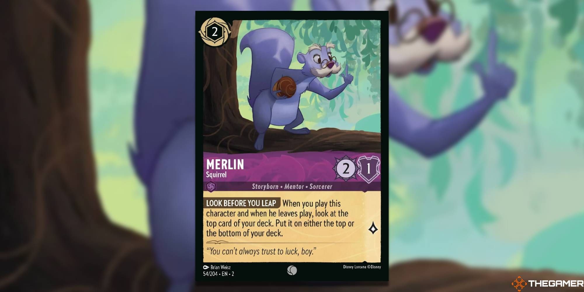 Merlin, Squirrel by Brian Weisz