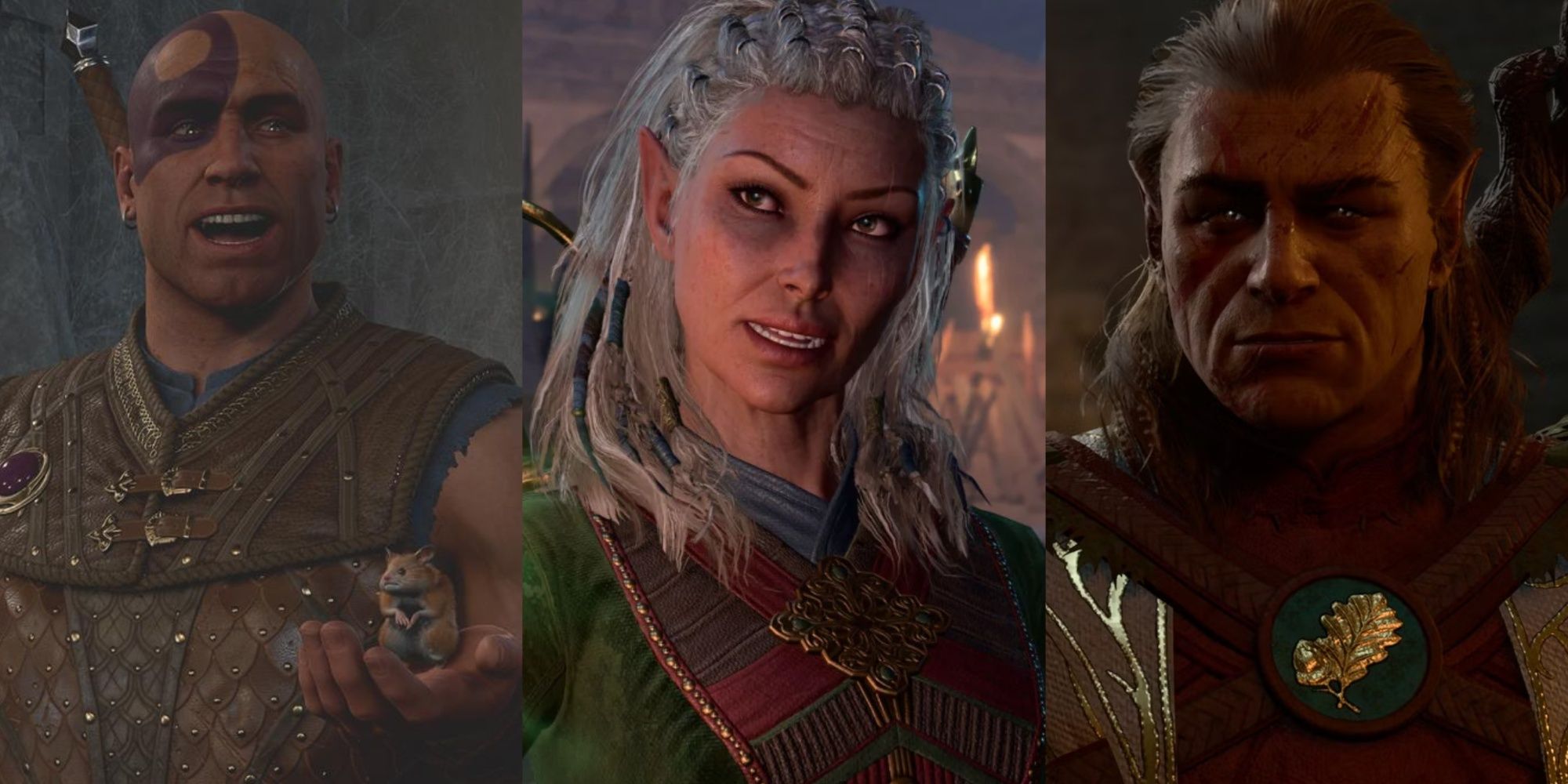 The companions Minsc, Jaheira, and Halsin, from Baldur's Gate 3