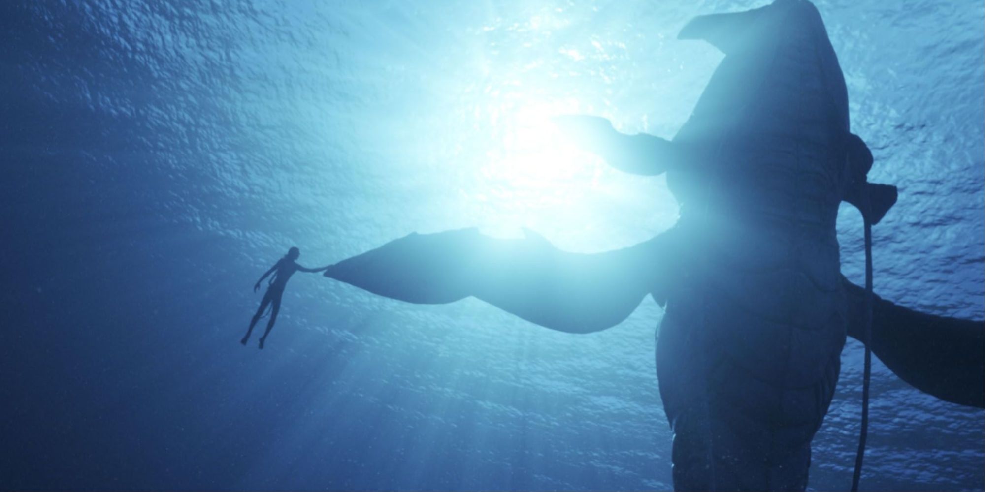 A silhouette shot of Lo'ak touching Payakan's fin underwater as a glare of light can be seen from the surface.