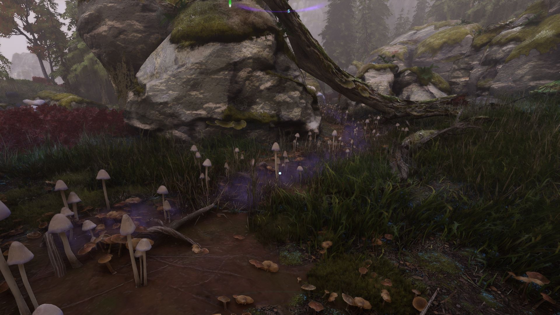 Player looking a trail of small mushrooms Avatar Frontiers of Pandora