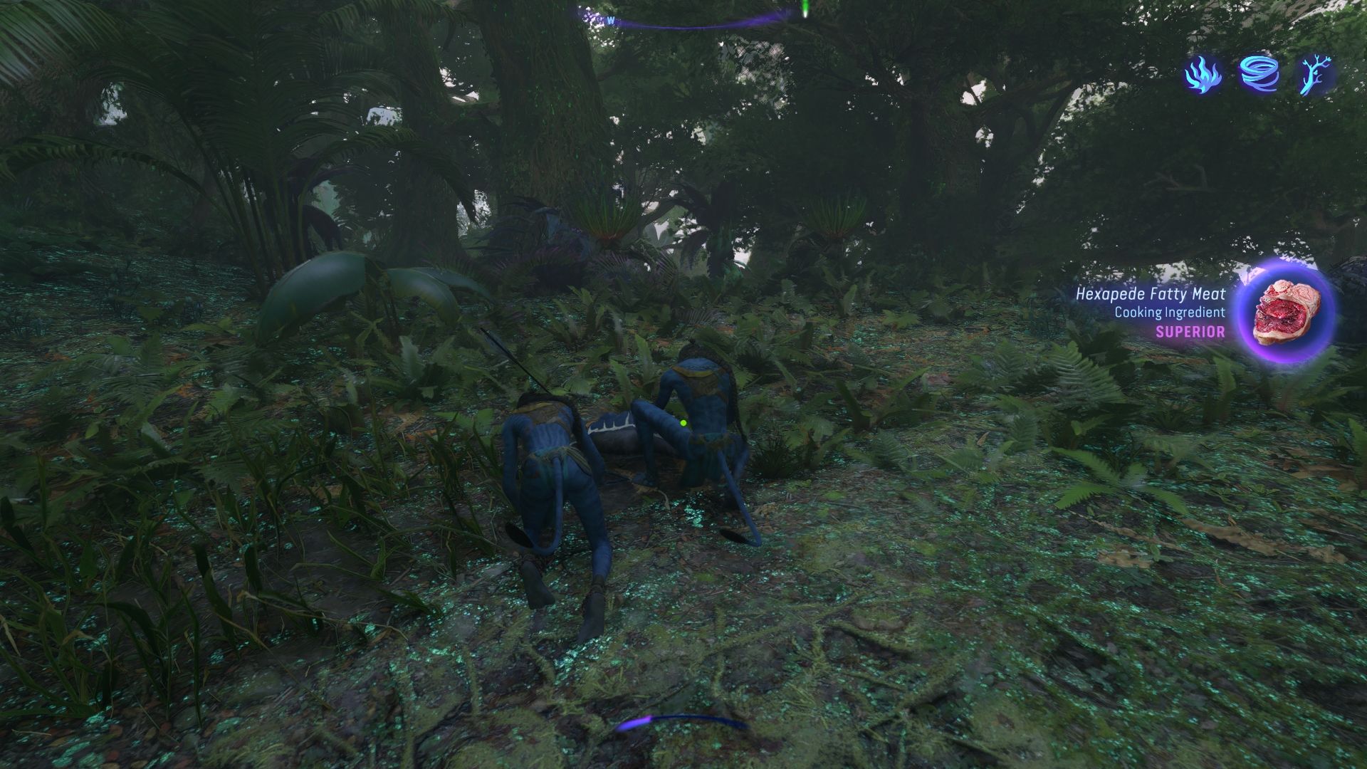 Player obtained a Superior cooking ingredient from two na'vi people Avatar Frontiers of Pandora