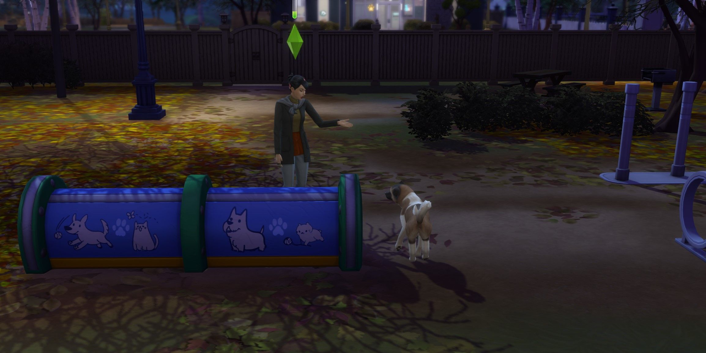 the sims 4: A sim and her dog training in a doggy obstacle course