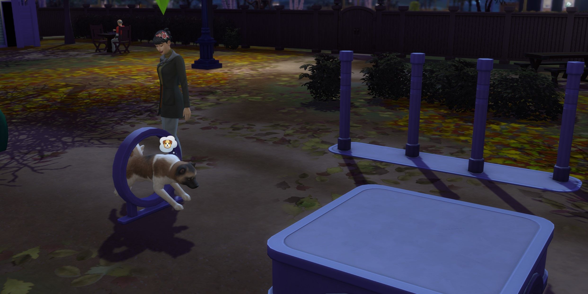 The SIms 4: An image of a Sim instructing her dog at the Pet Obstacle Course