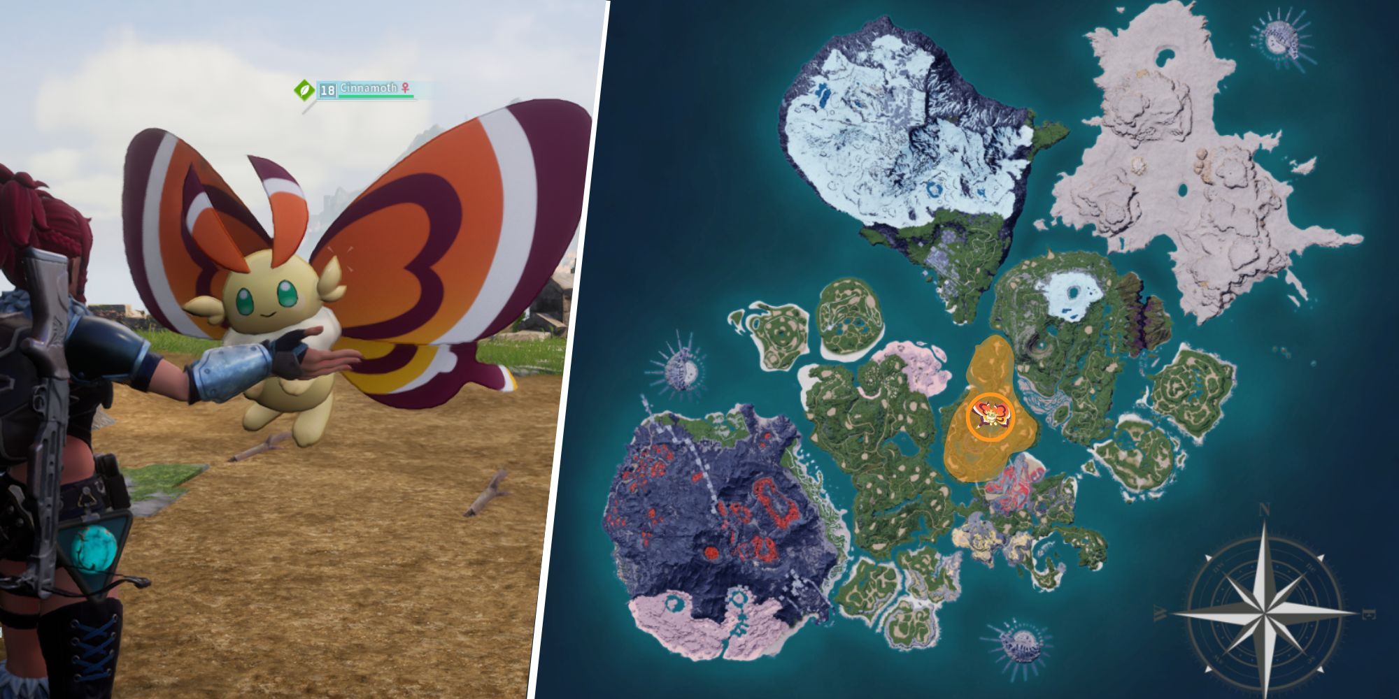 Palworld - Cinnamoth and location