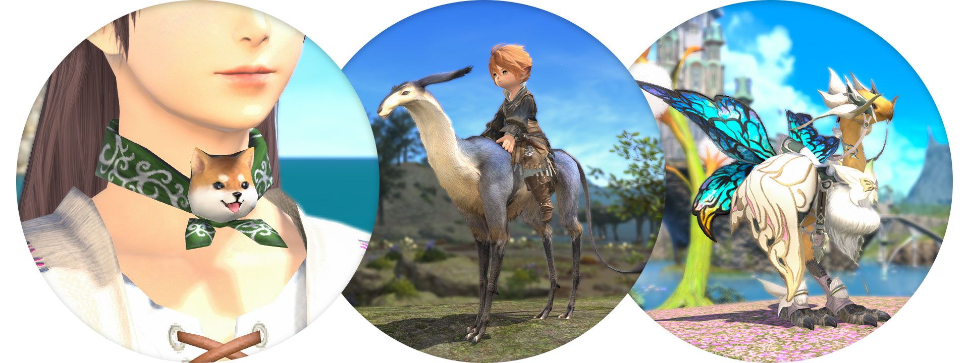 A mixed image of the Mameshiba necklace antelope mount and chocobo barding in Final Fantasy 14.