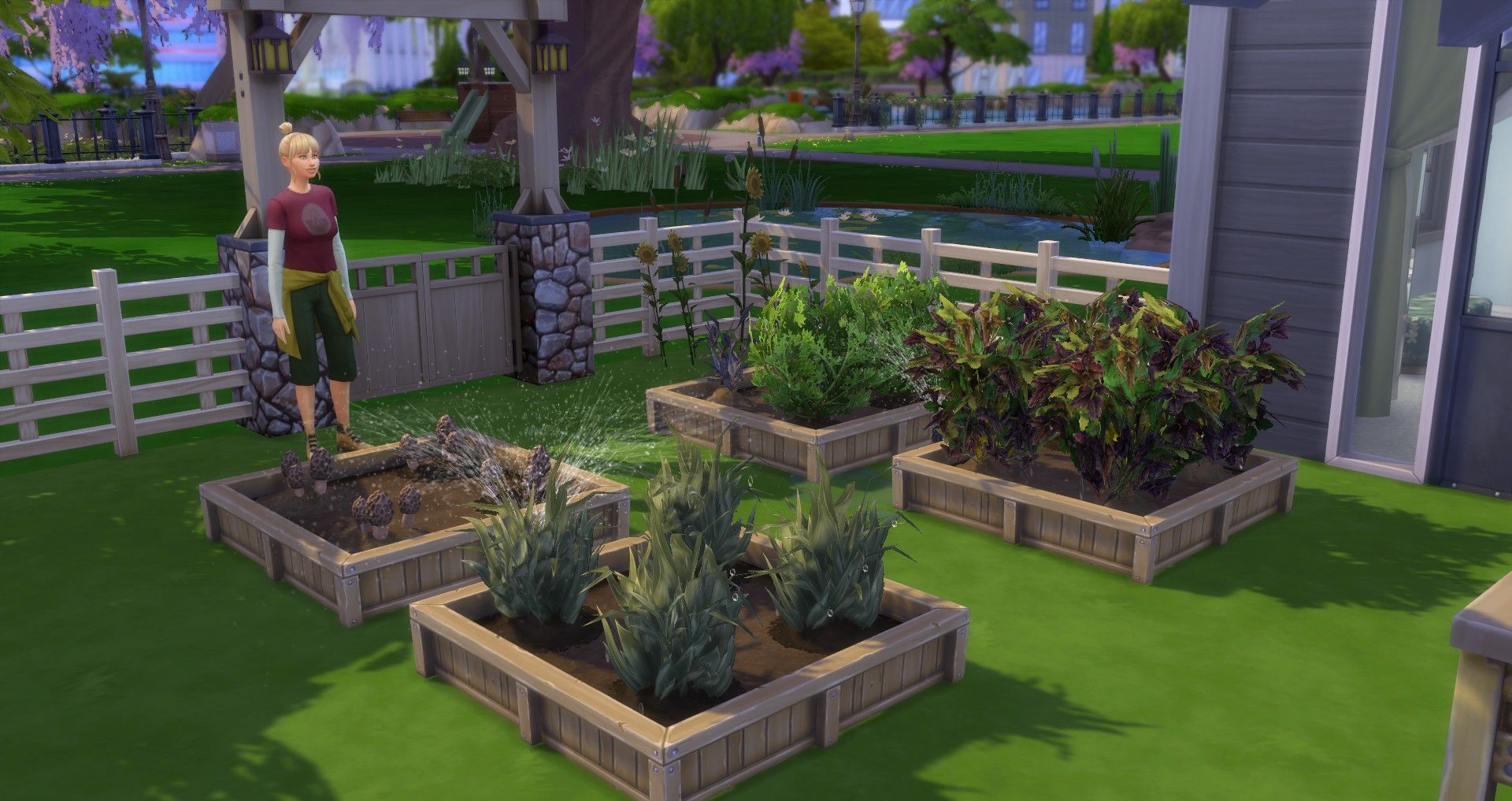 a sim looking out over a garden full of planted herbs in the sims 4 outdoor retreat herbalism
