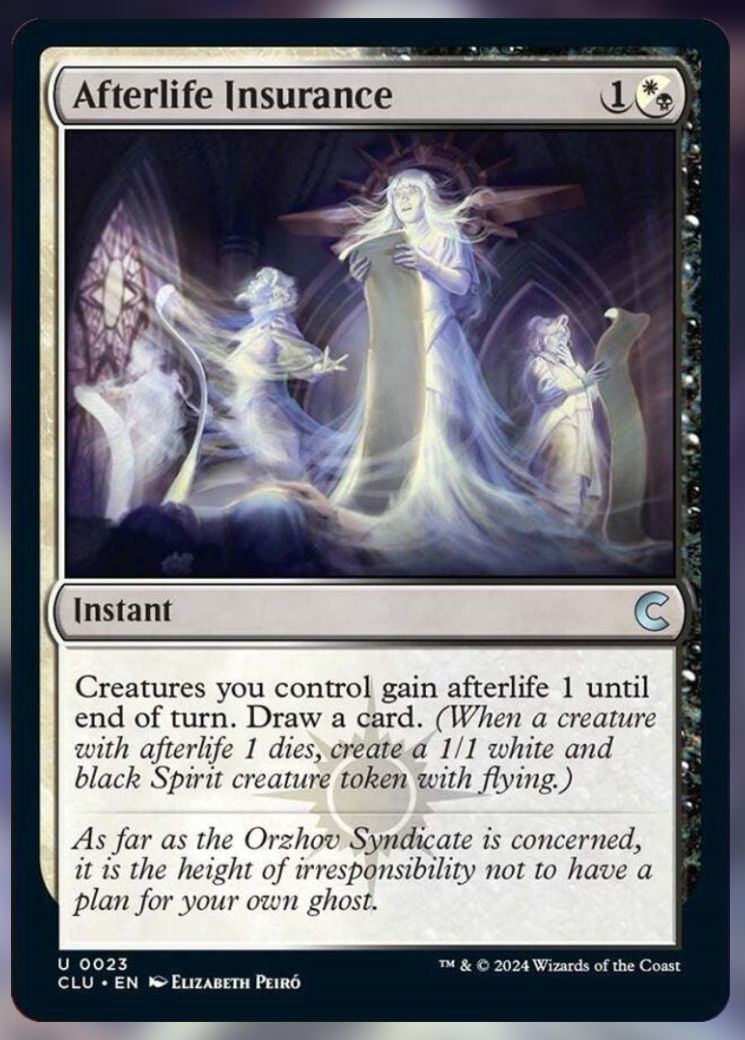 Afterlife Insurance