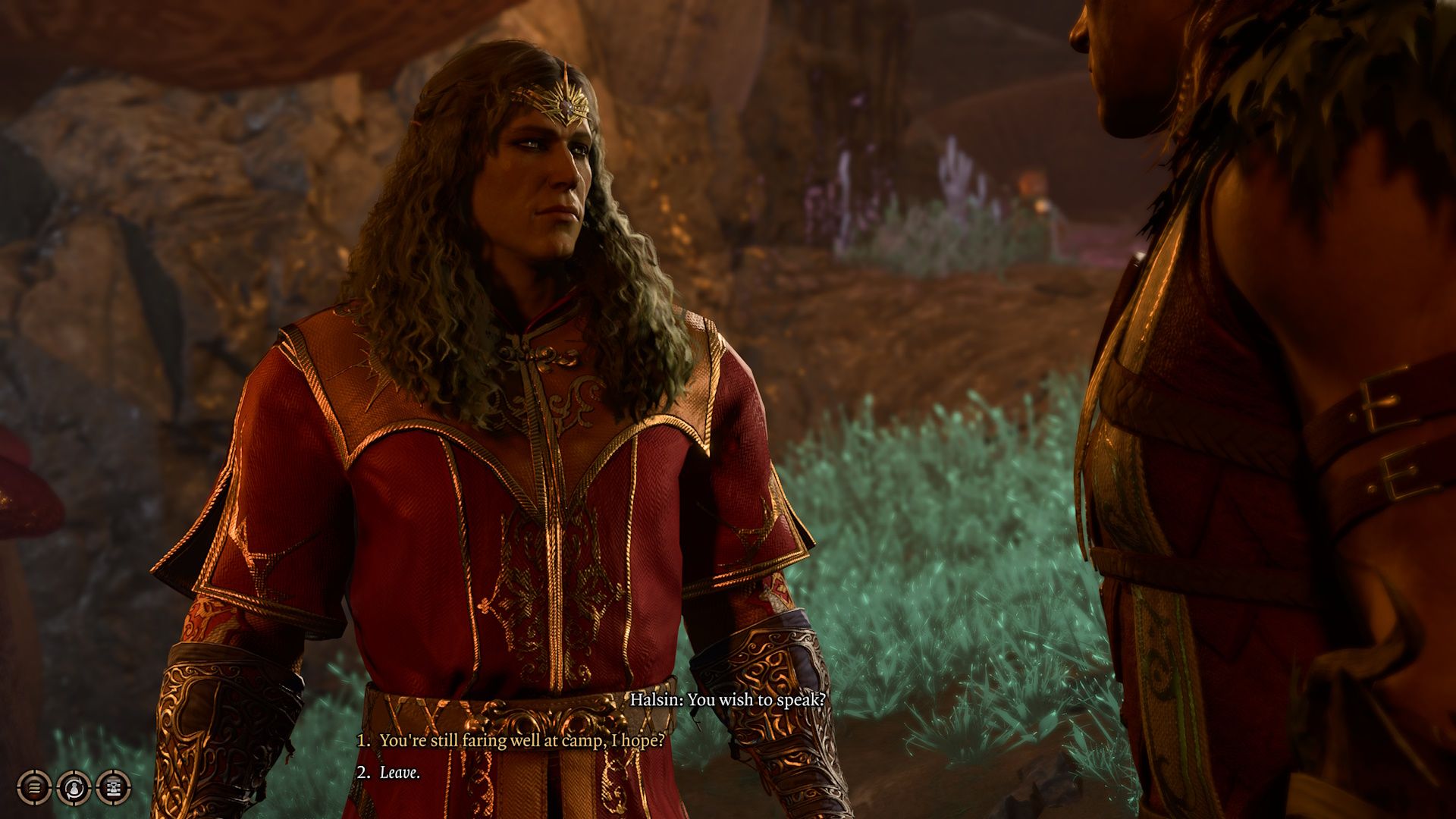 Baldur's Gate 3 Wood Elf Diviniation Wizard Talking to Halsin