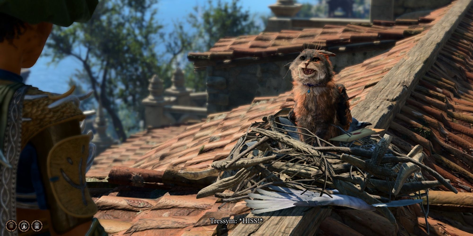 Baldurs' Gate 3 tara the tressym hissing at player on roof