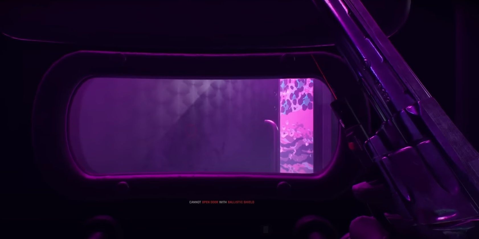 ballistic shield ready or not