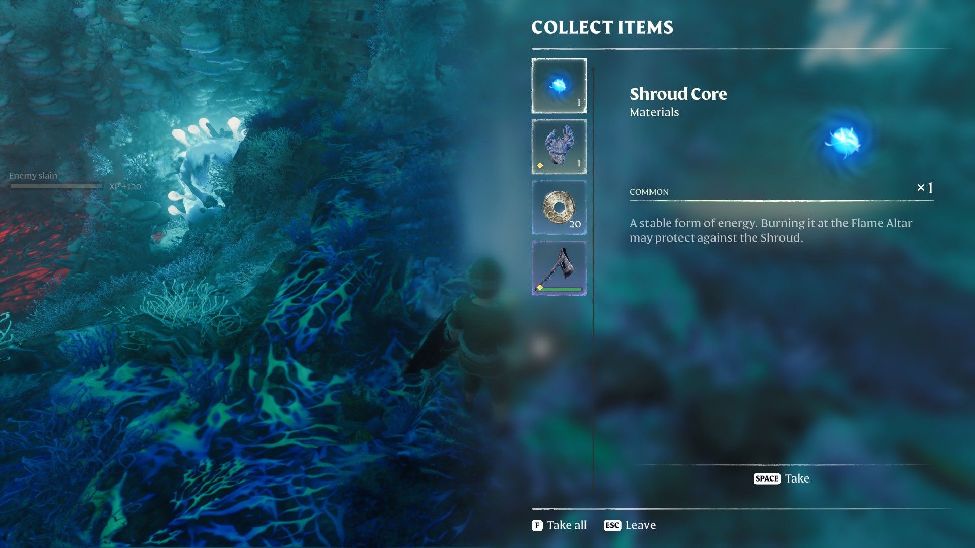 enshrouded loot from fell thunderbrute
