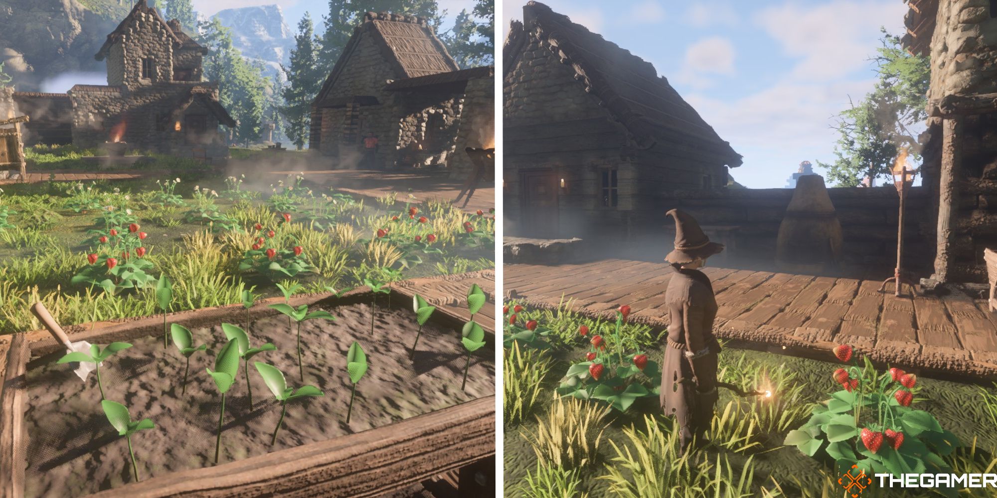 enshrouded split image showing seedbed with strawberries in background, next to image of player next to strawberry bushes