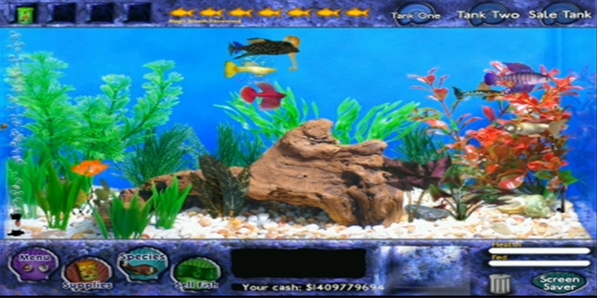 A collection of bright colored fish in a fishtank 
